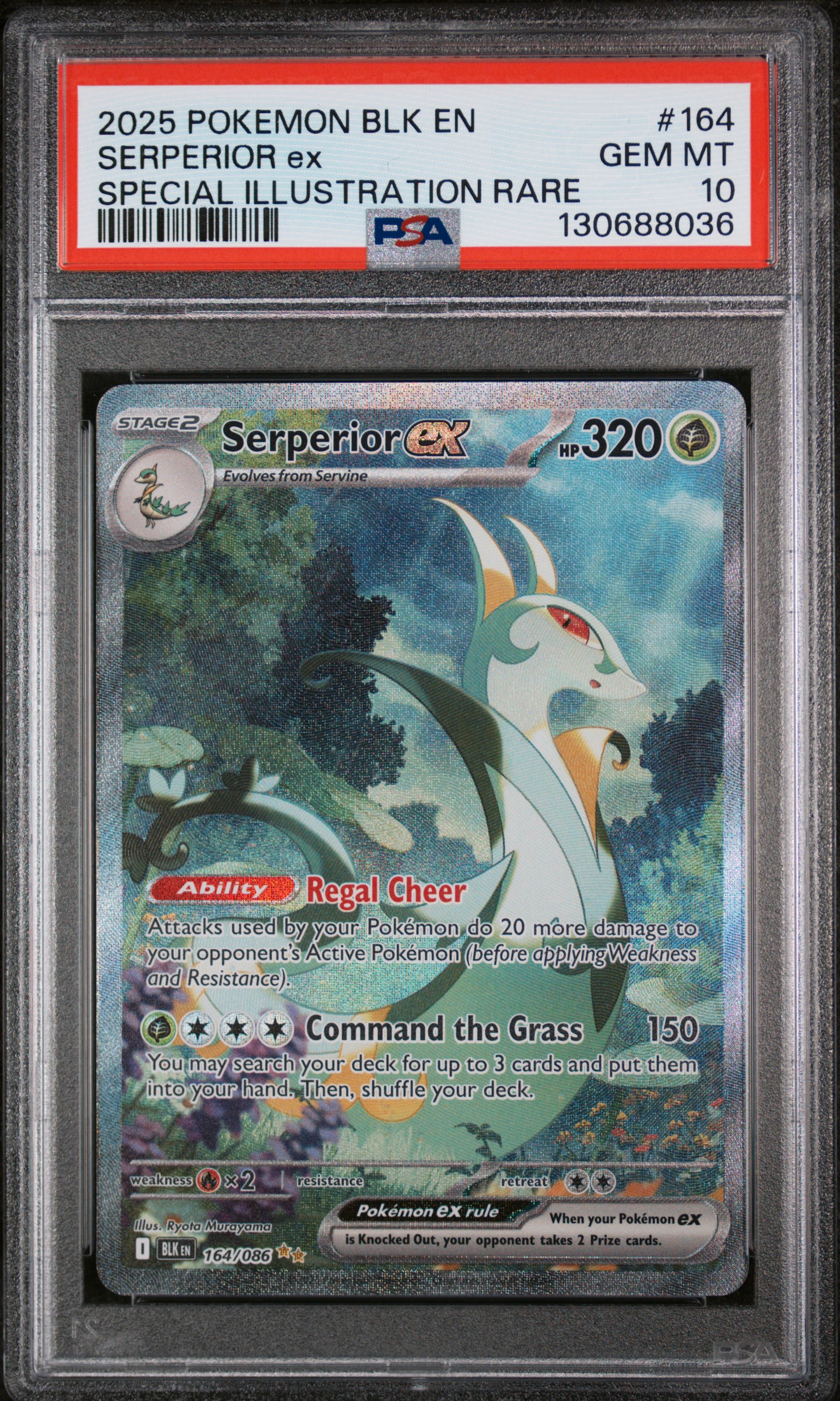 Serperior ex