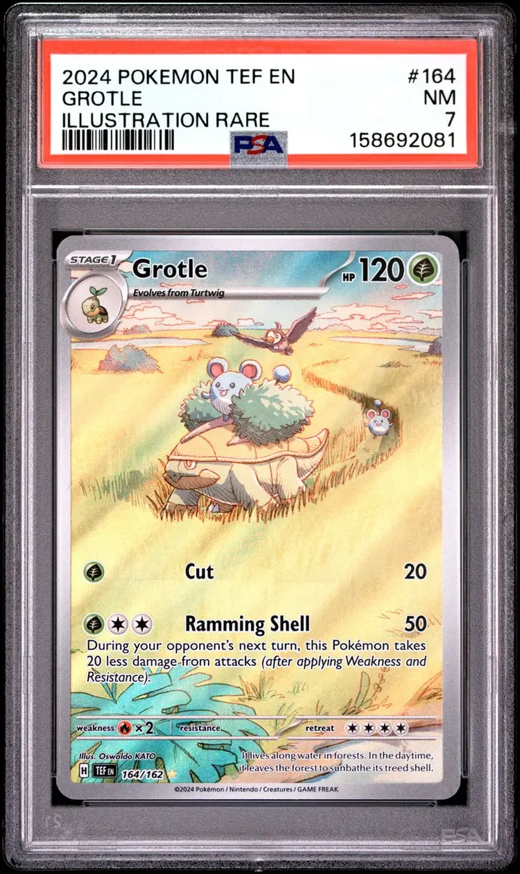 Grotle